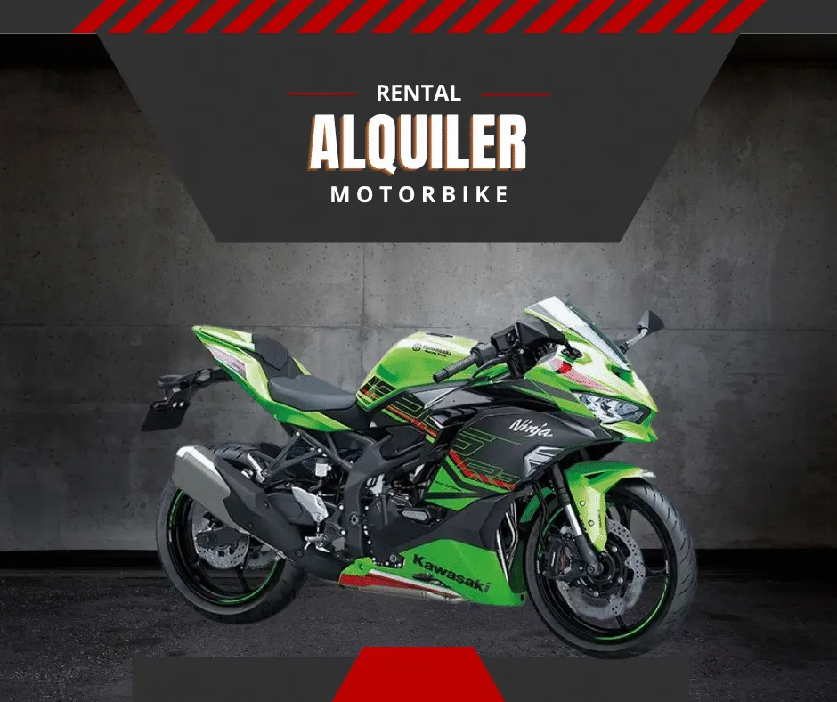 Kawasaki Ninja ZX-25RR